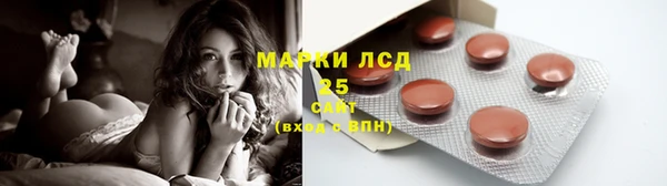 гидропоника Богородицк