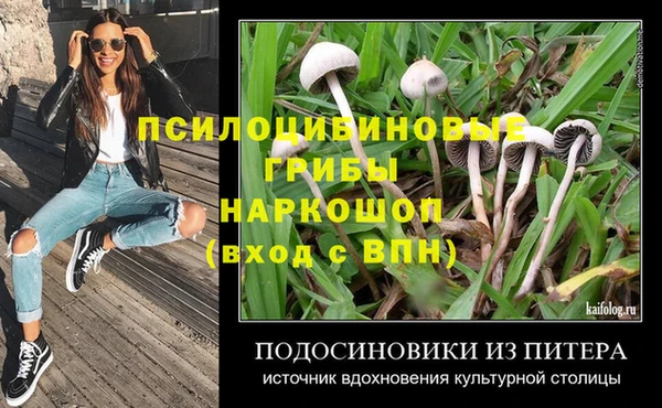 гидропоника Богородицк