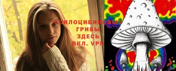 spice Бугульма